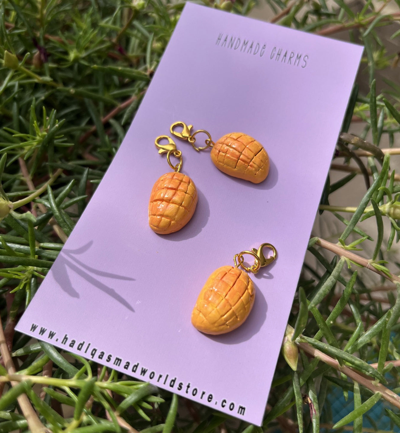 Chaunsa Mango - Single Charm