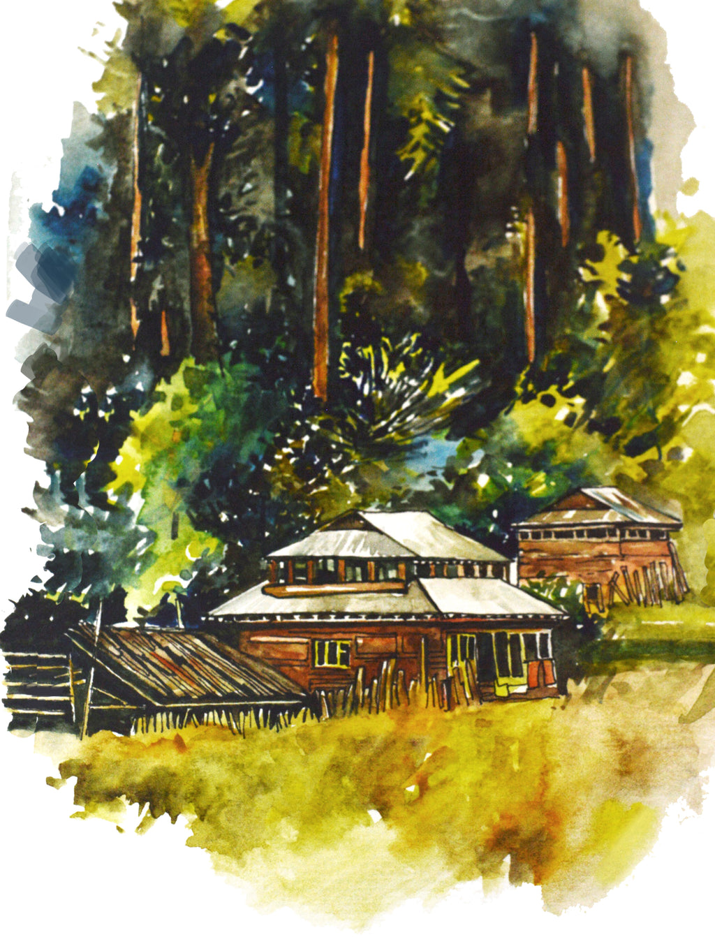 Azad Kashmir - Art Print