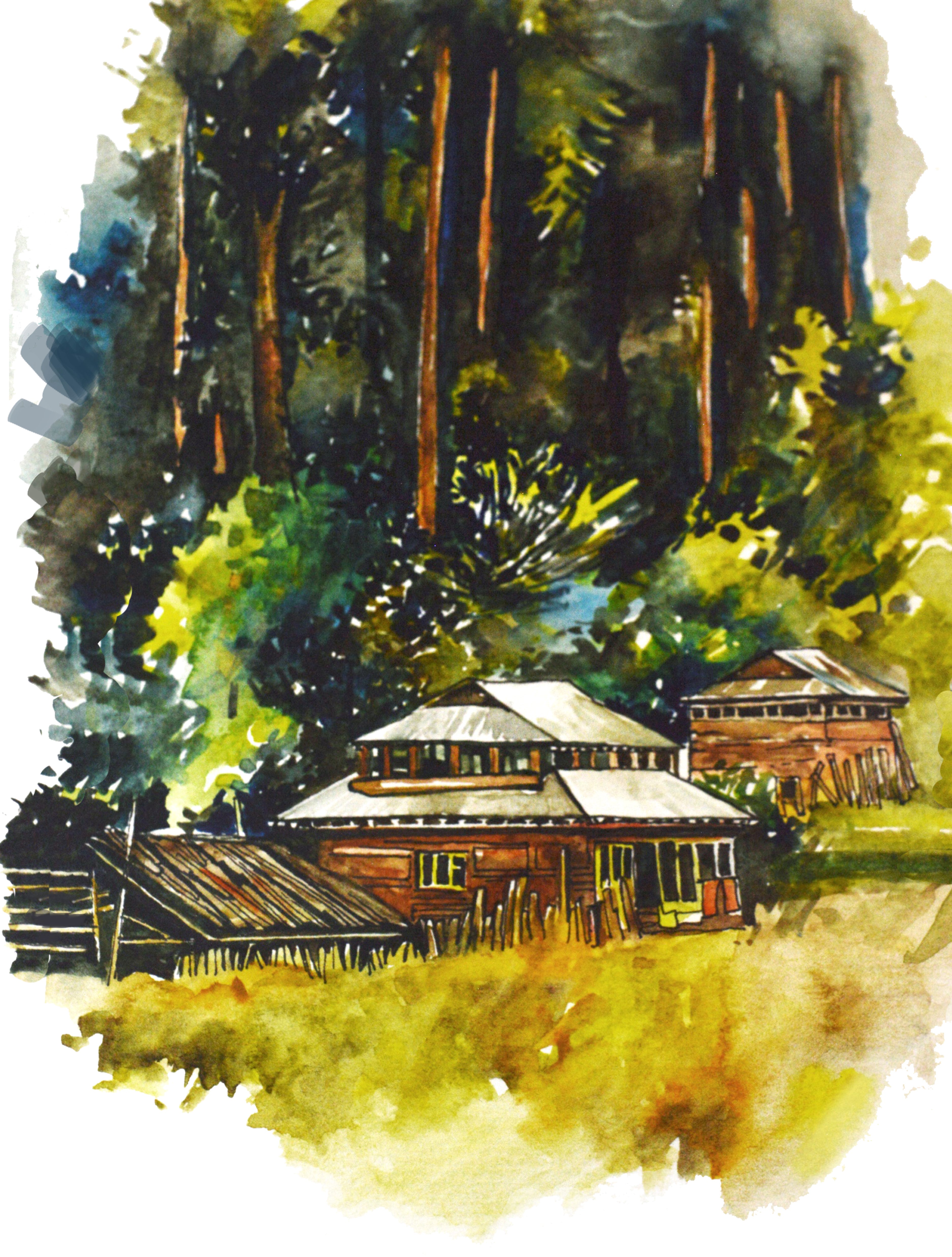 Azad Kashmir - Art Print